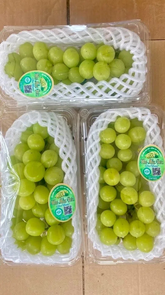 Nho được phân loại và đóng gói